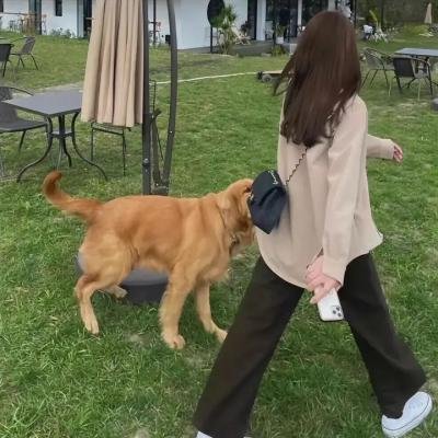 旧爱共度30天